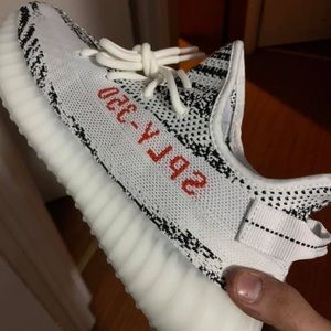 Zebra yeezy size 10 DS $300 OBO